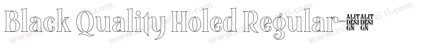 Black Quality Holed Regular字体转换